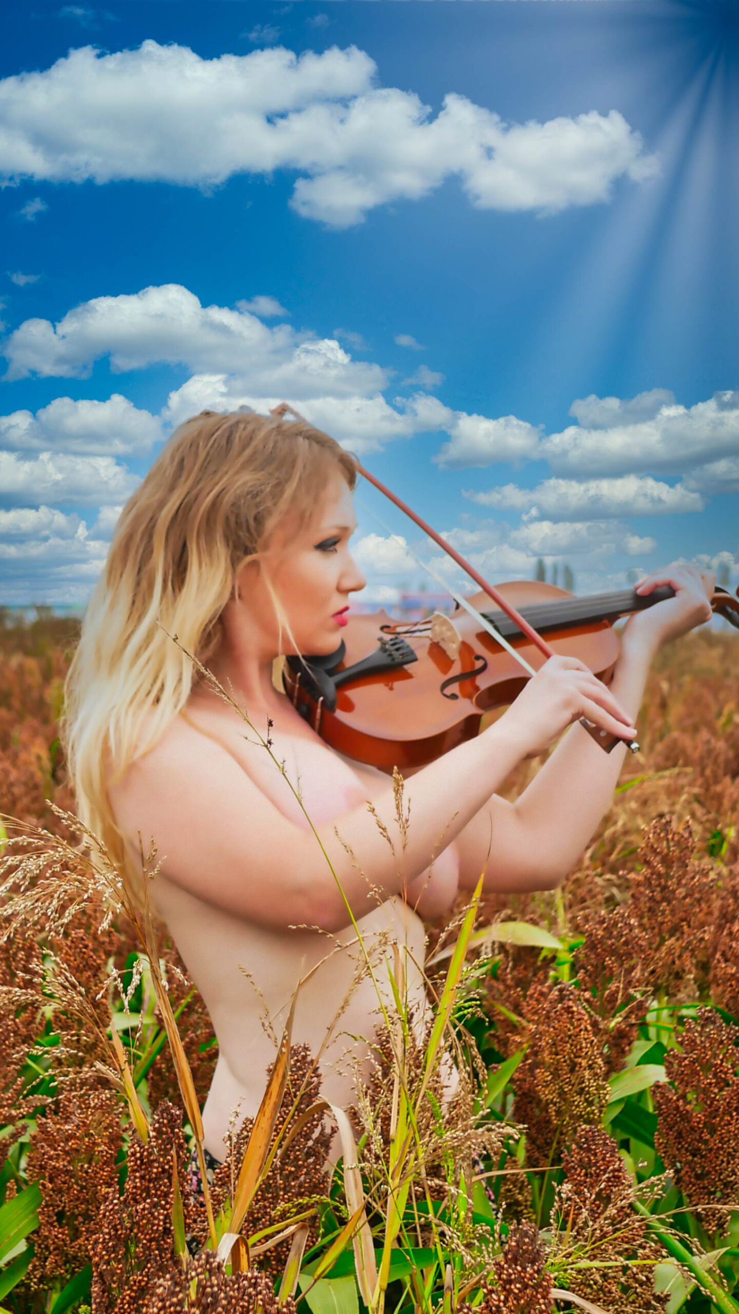 P1040905-a4 P1040905-a4